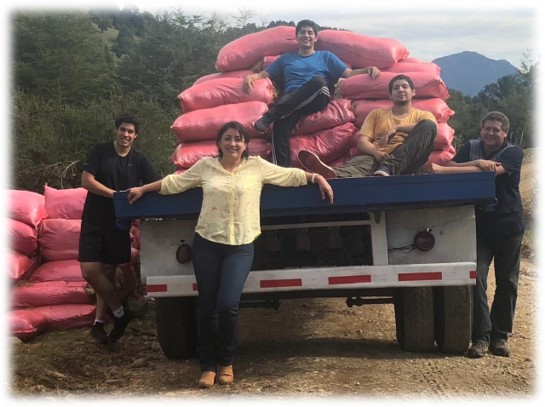 Exportadora OSJP Musgos SPA team at the moss plant in Puerto Montt, Chile