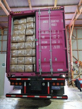 Export container loaded with bales of Chilean Sphagnum Moss
