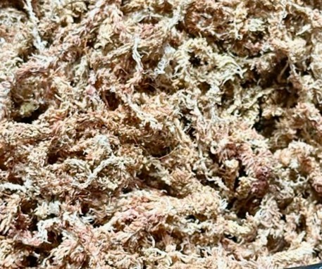 Mix 3 to 5 stars Sphagnum Moss classified by fiber length