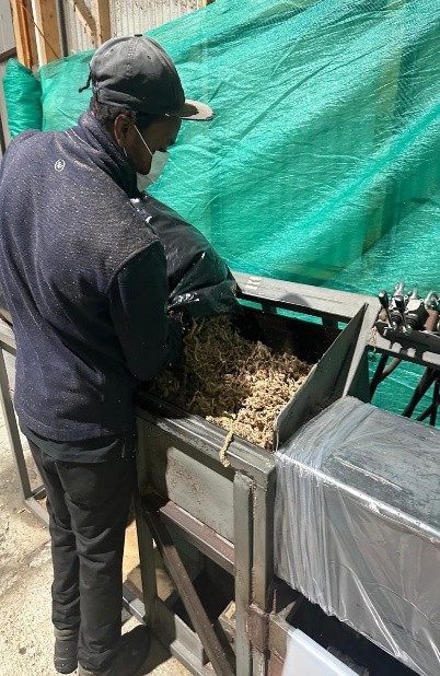 Sphagnum Moss drying to reach the optimal export moisture level